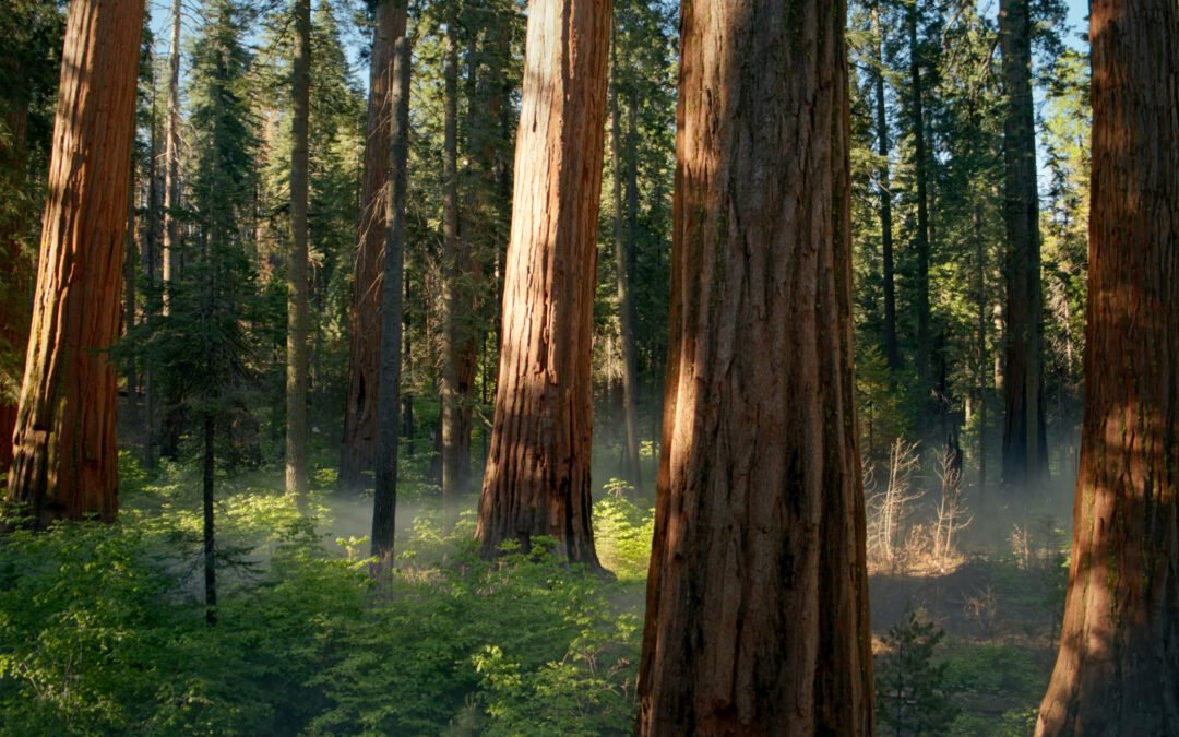 HVAC PPC Marketing: Proven Strategies to Drive Leads-1